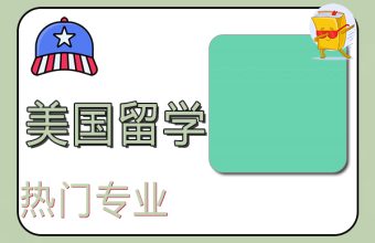 미국유학 인기 전공 해석