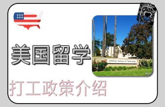 미국 유학생을 위한 취업 정책 소개