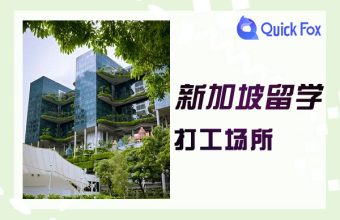What are the places for international students to work in Singapore?