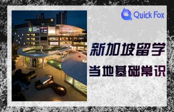 シンガポールに留学する際は、現地の基本的な知識を理解する必要があります