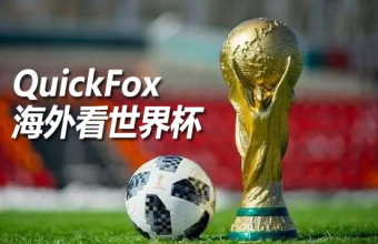 海外看世界杯