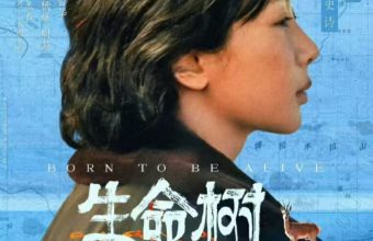 电视热剧 生命树 热播 杨紫封面