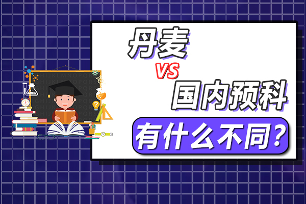在中国读预科与在丹麦读预科有什么不同?