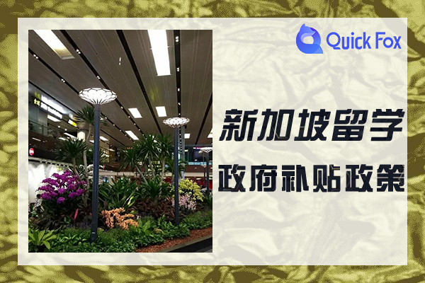 2022年新加坡留学政府补贴新政策