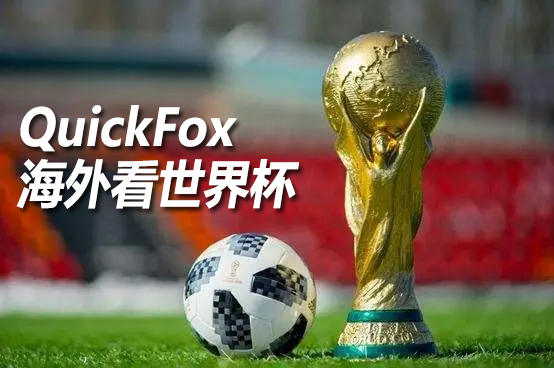 海外看世界杯