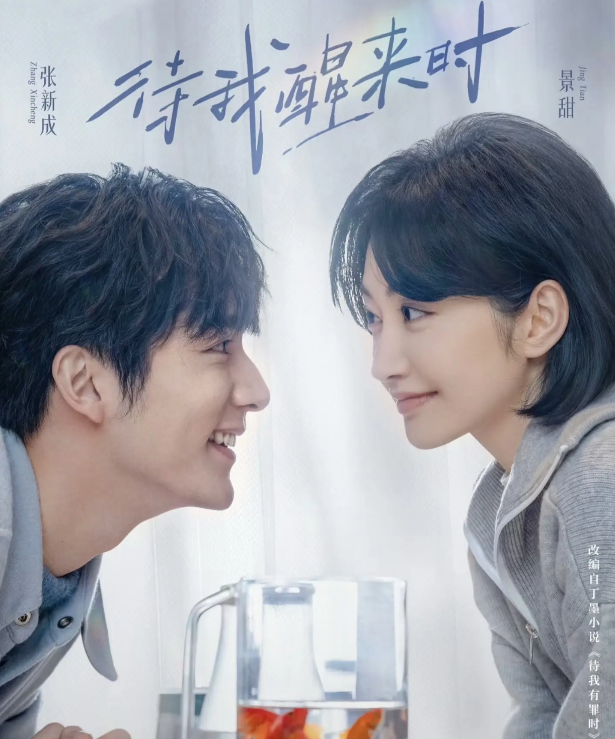 待我醒来时 电视剧 热播中 海外怎么看