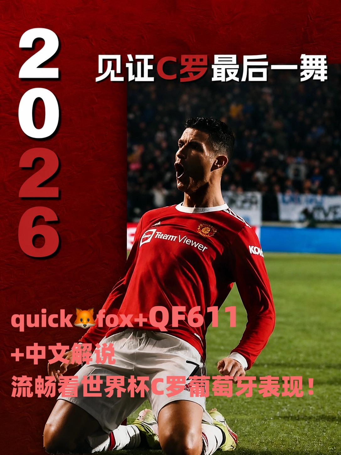 海外看世界杯用quickfox