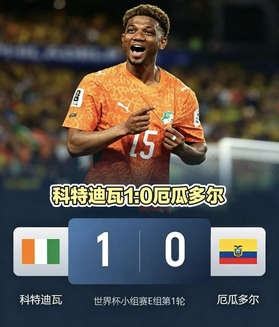 E组:科特迪瓦 1-0 厄瓜多尔