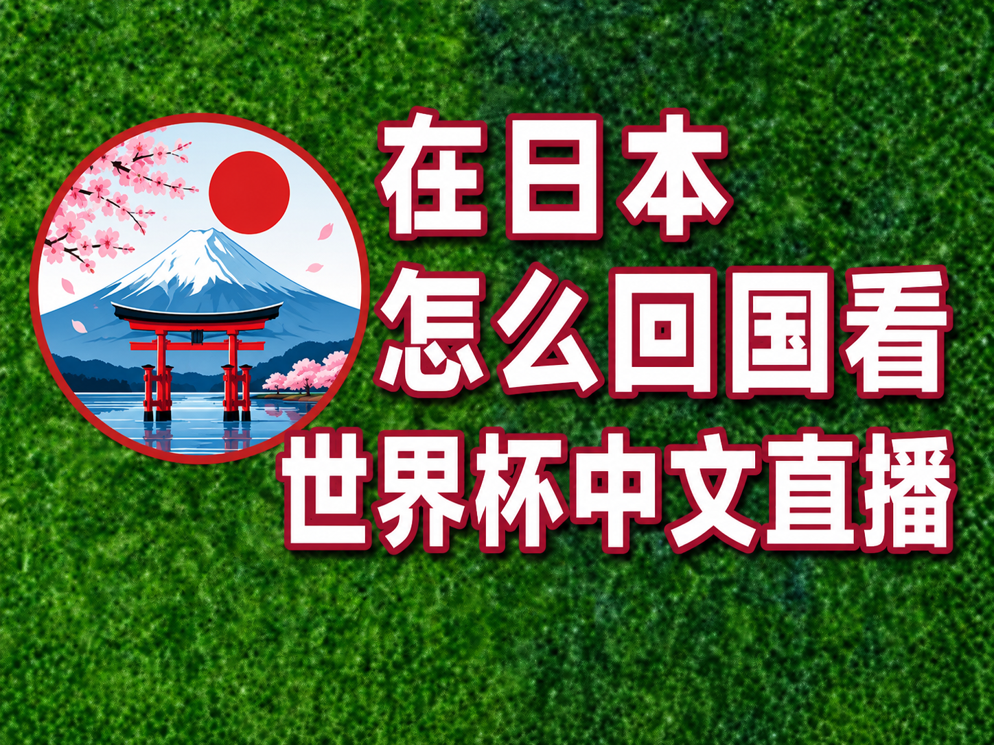 在日本怎么回国看世界杯中文直播